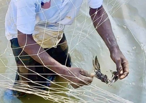 Screenshot 2023-12-26 at 1.15.50 PM